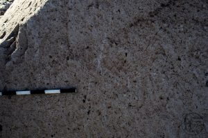 Piedra: 1183, Cara decorada: III