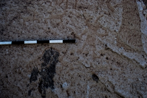Piedra: 1183, Cara decorada: III