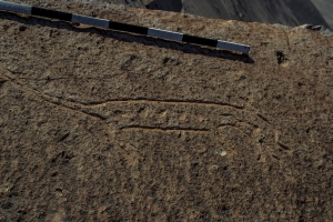 Piedra: 1183, Cara decorada: II