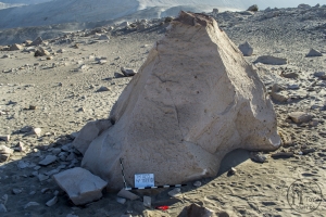 Piedra: 1183, Cara decorada: IV