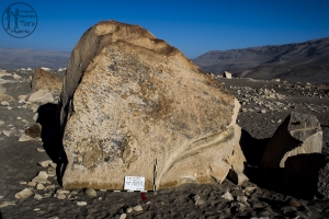 Piedra: 1183, Cara decorada: I