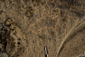 Piedra: 1183, Cara decorada: I
