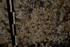 Piedra: 1183, Cara decorada: I