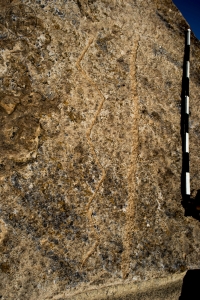 Piedra: 1183, Cara decorada: I