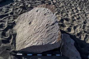 Piedra: 1186, Cara decorada: I
