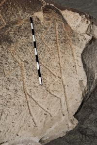 Piedra: 1189, Cara decorada: I