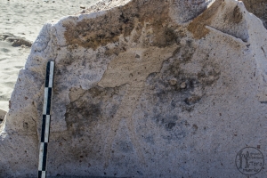 Piedra: 1191, Cara decorada: I
