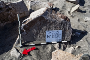 Piedra: 1193, Cara decorada: I
