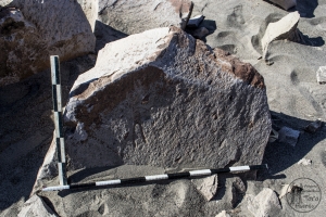 Piedra: 1193, Cara decorada: I