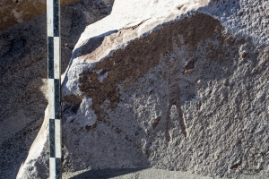 Piedra: 1193, Cara decorada: I