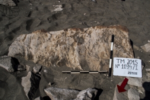 Piedra: 1194, Cara decorada: I