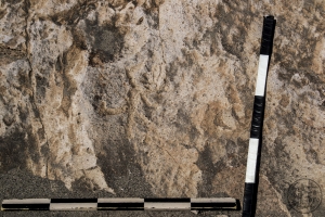 Piedra: 1194, Cara decorada: I