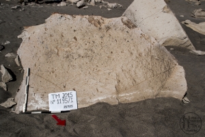 Piedra: 1195, Cara decorada: I