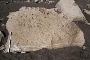 Piedra: 1195, Cara decorada: I