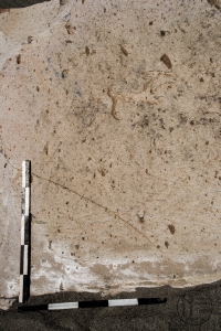 Piedra: 1195, Cara decorada: I