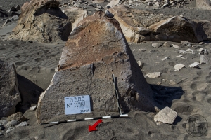 Piedra: 1196, Cara decorada: I