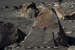 Piedra: 1196, Cara decorada: I