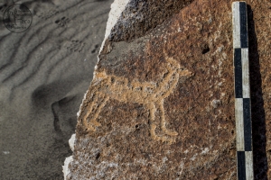Piedra: 1196, Cara decorada: I