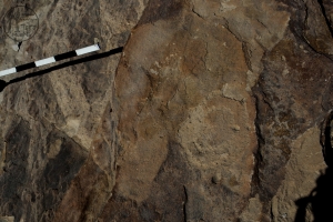 Piedra: 1197, Cara decorada: III