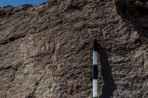 Piedra: 1197, Cara decorada: I