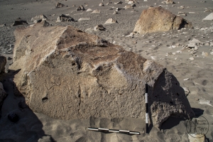 Piedra: 1198, Cara decorada: I
