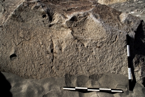 Piedra: 1198, Cara decorada: I
