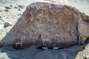 Piedra: 1199, Cara decorada: I