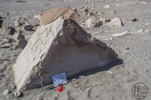 Piedra: 1204, Cara decorada: I