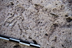 Piedra: 1205, Cara decorada: II