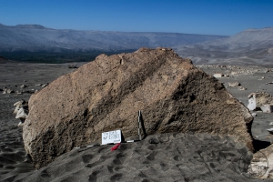 Piedra: 1205, Cara decorada: I