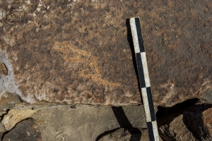 Piedra: 1215, Cara decorada: II