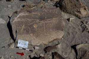 Piedra: 1220, Cara decorada: I
