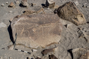 Piedra: 1220, Cara decorada: I