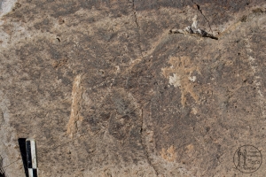 Piedra: 1220, Cara decorada: I
