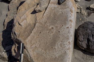 Piedra: 1224, Cara decorada: I