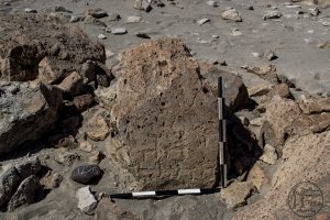 Piedra: 1226, Cara decorada: I