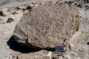 Piedra: 1227, Cara decorada: I