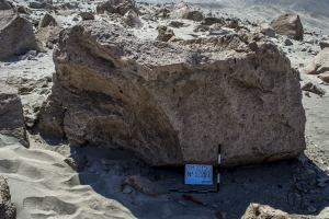 Piedra: 1228, Cara decorada: I