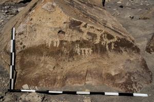 Piedra: 1229, Cara decorada: IV