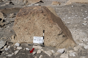 Piedra: 1231, Cara decorada: III