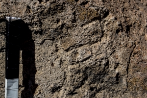 Piedra: 1231, Cara decorada: III