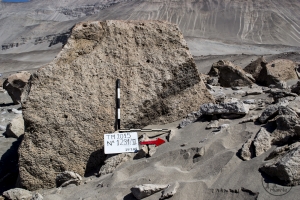 Piedra: 1231, Cara decorada: II
