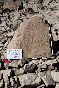 Piedra: 1236, Cara decorada: I
