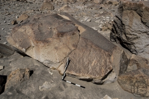 Piedra: 1237, Cara decorada: III