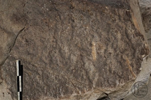 Piedra: 1237, Cara decorada: III