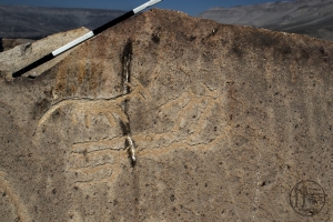 Piedra: 1240, Cara decorada: I