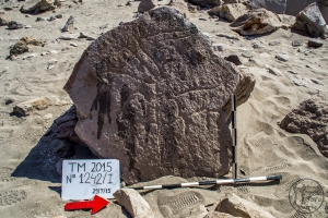 Piedra: 1242, Cara decorada: I