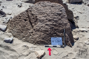 Piedra: 1244, Cara decorada: I