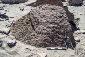Piedra: 1244, Cara decorada: I