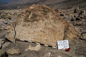 Piedra: 1245, Cara decorada: I